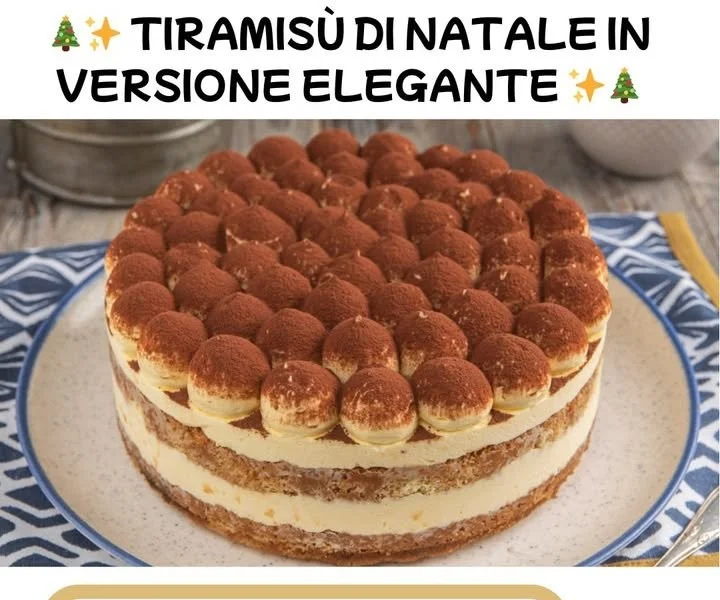 Tiramisù di Natale Elegante