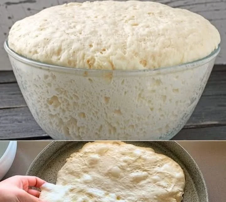 Impasto per pizza a lunga lievitazione pronto per la cottura