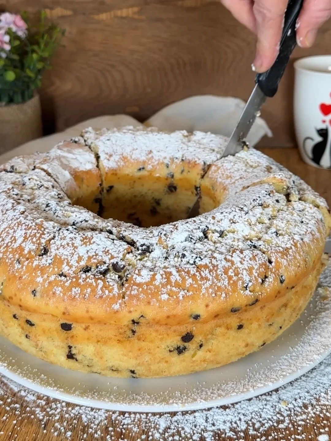 Ciambellone soffice con ricotta e cioccolato, dolce invitante e goloso.